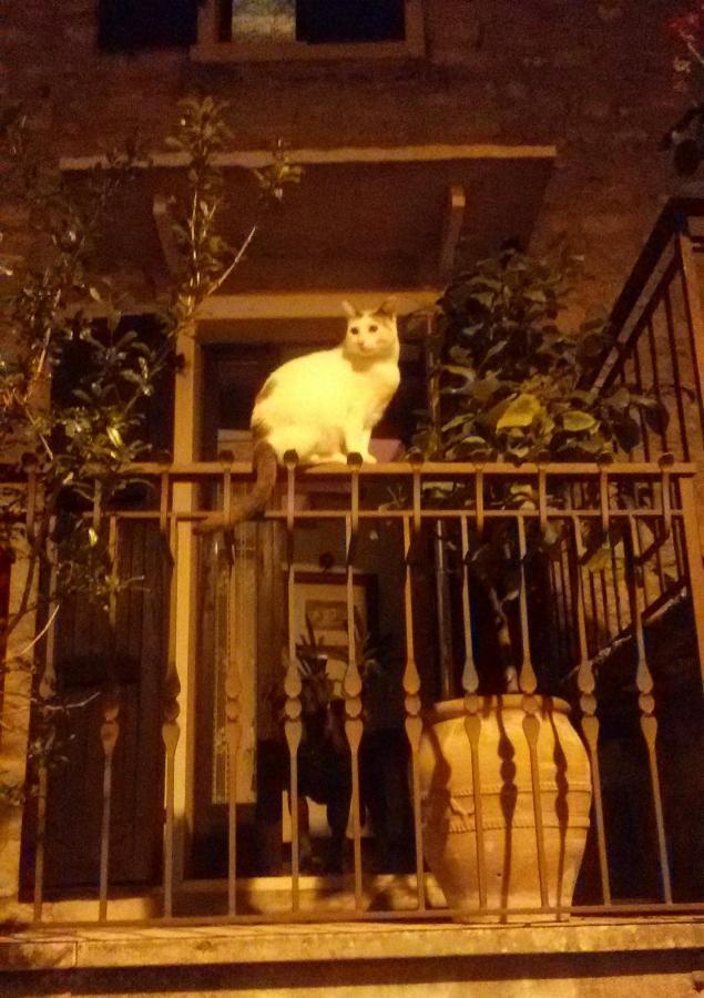 Beb Da Paolo Con Vista Lago 산 제노 디 몬타냐 외부 사진