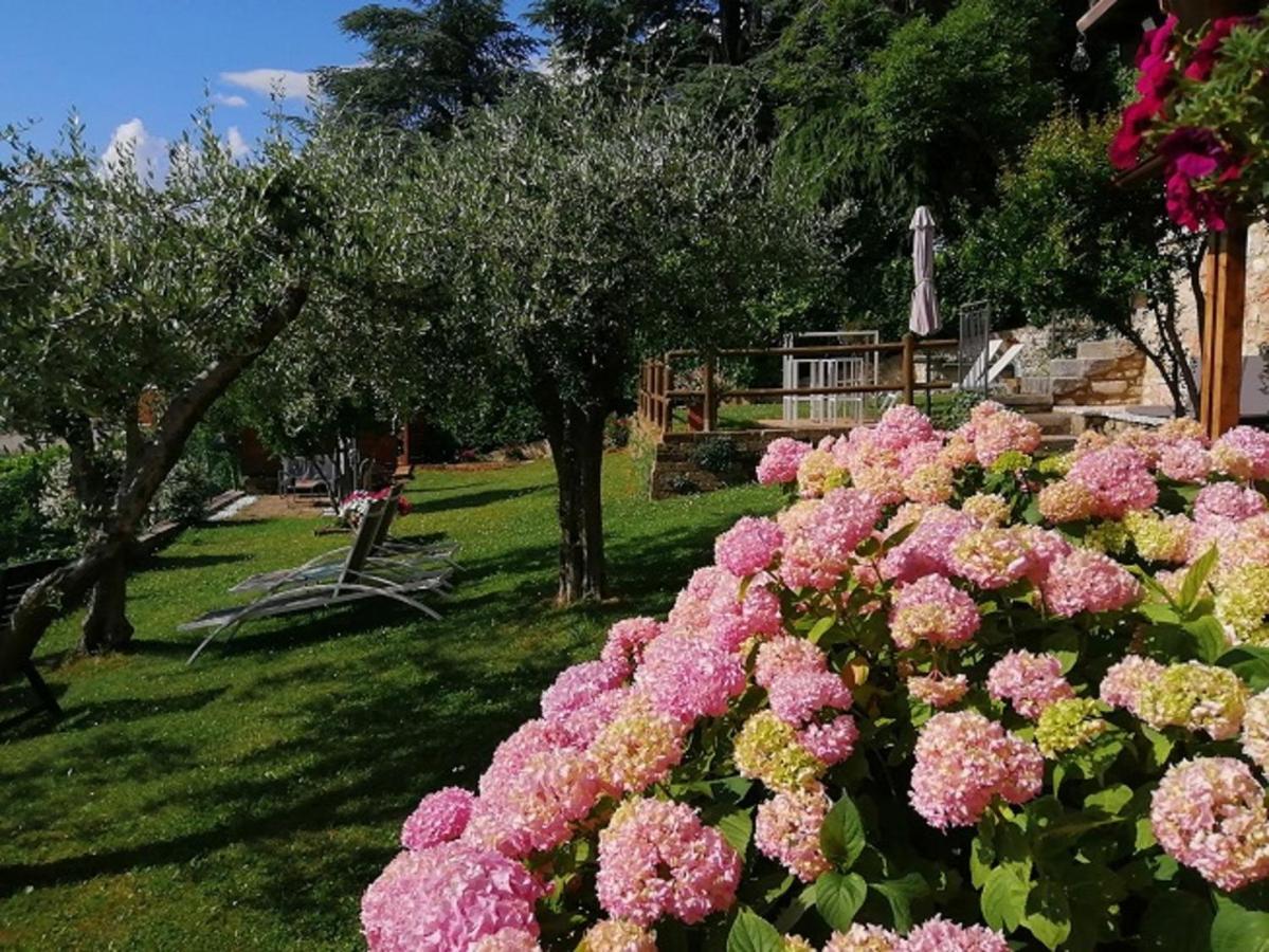 Beb Da Paolo Con Vista Lago 산 제노 디 몬타냐 외부 사진